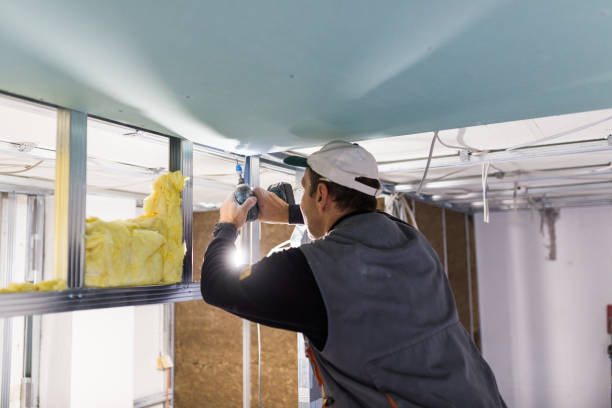Best Insulation for New Construction  in Blasdell, NY