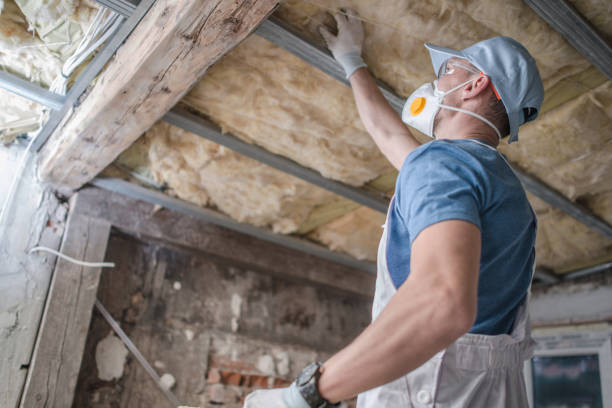 Best Attic Insulation Installation  in Blasdell, NY