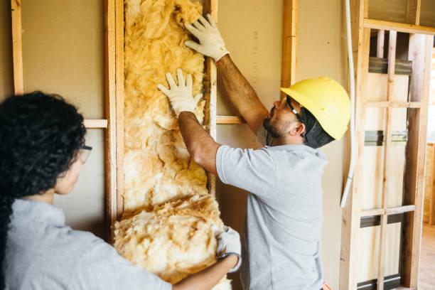Best Attic Insulation Near Me  in Blasdell, NY