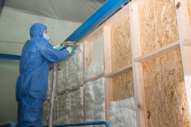 Best Spray Foam Insulation  in Blasdell, NY